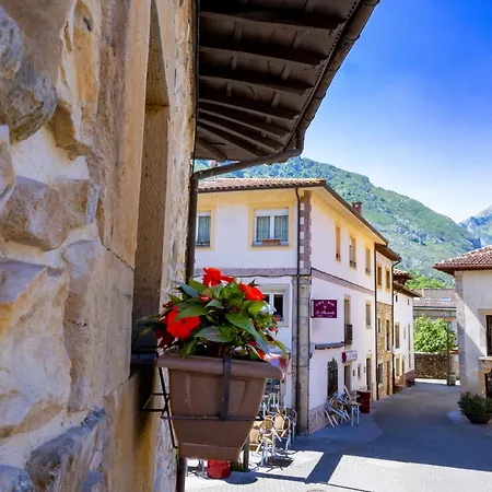 San Roque Lejlighed